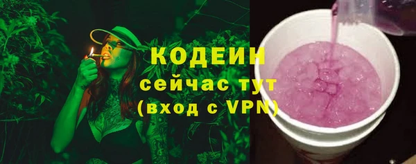 гашик Иннополис