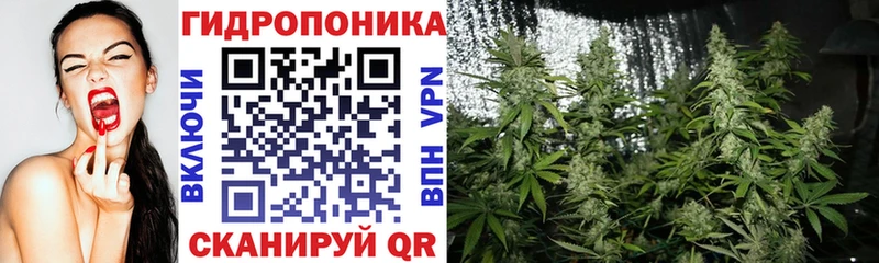 дарк нет официальный сайт  Воткинск  Бошки Шишки марихуана 